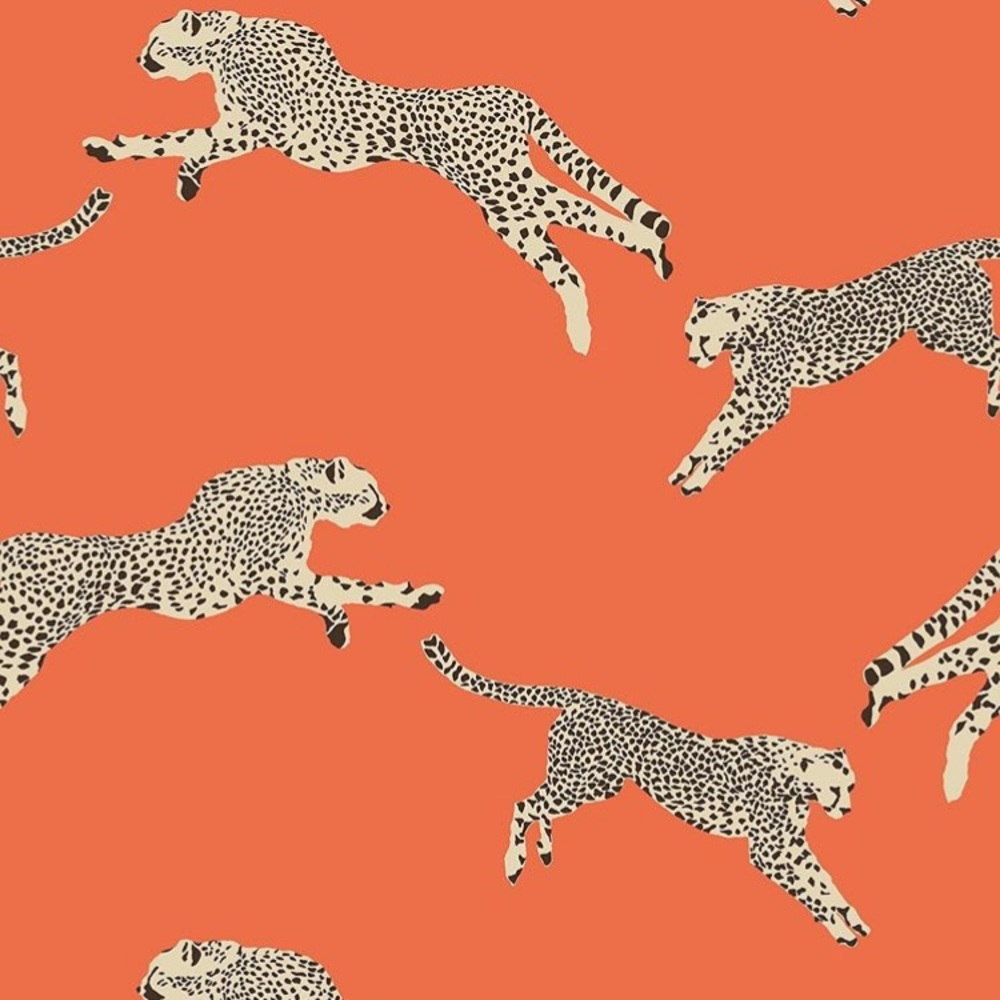 Meet your Posher, Meghan